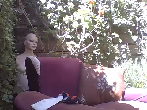 sweetbabyass online show from 14, 3, 2025