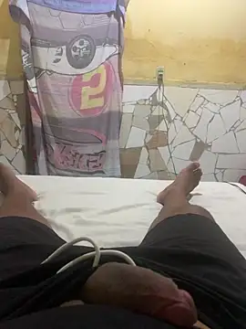 GordoSafadinho online show from 8, 2, 2025