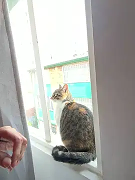 Lolitacooper online show from 28, 4, 2026