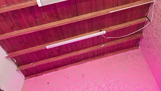 Snapshot of Sofia_martiin chatting on 14, 11, 2025 Sofia martiin online show from 14, 11, 2025