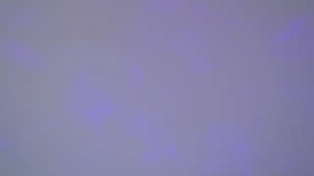 SelinSwarovski online show from 1, 11, 2025