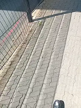 Lexwelll online show from 26, 2, 2025