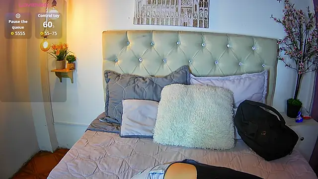 Snapshot of ShyVibes_ chatting on 31, 1, 2026 ShyVibes online show from 31, 1, 2026