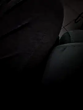 Snapshot of HardWolf2024 chatting on 11, 12, 2024 HardWolf2024 online show from 11, 12, 2024