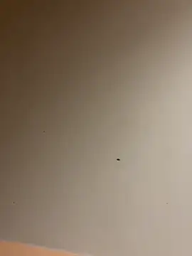 lilyxafterdark online show from 4, 12, 2024