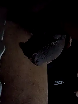 GaMeCrAc1 online show from 29, 9, 2025