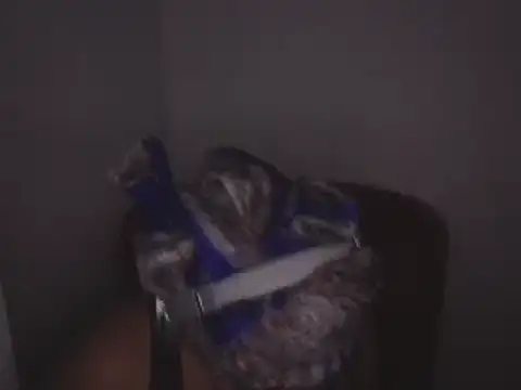 Makemymoney27 online show from 24, 12, 2024