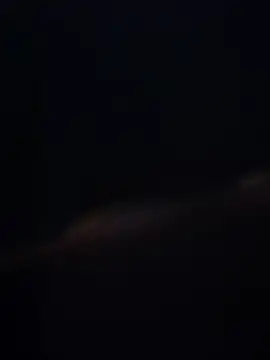 lukay69 online show from 7, 2, 2026