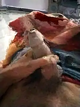 PracticalGum40 online show from 20, 11, 2025