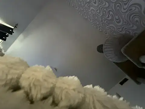 bunnyamy online show from 12, 11, 2025