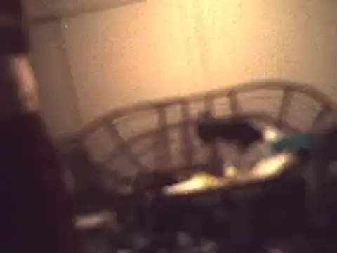 Snapshot of glenjamin81 chatting on 22, 7, 2026 glenjamin81 online show from 22, 7, 2026