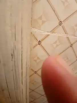 ken tanaka online show from 6, 3, 2025