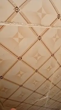 ken tanaka online show from 18, 2, 2025