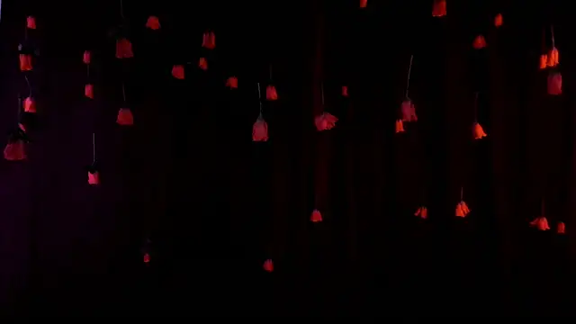 lnxmst online show from 14, 2, 2026