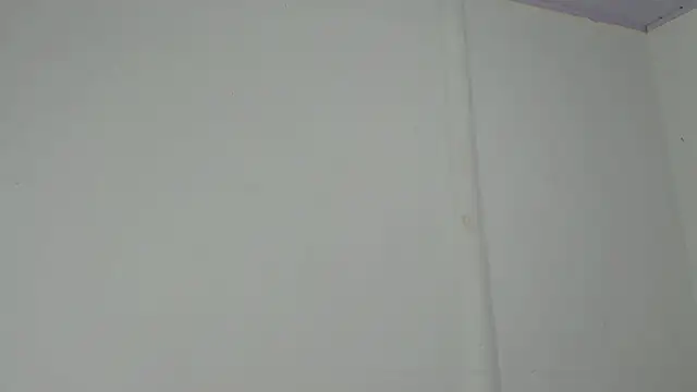 Amir mikelsen online show from 13, 2, 2026