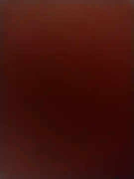 RobbyThrobb online show from 20, 12, 2024