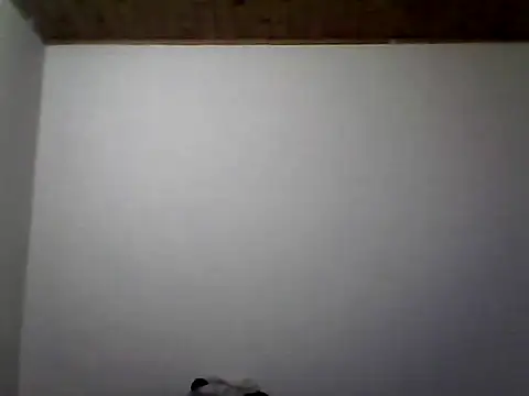 ariana crazzy online show from 26, 10, 2025