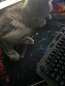 Leo-Cock online show from 26, 3, 2026
