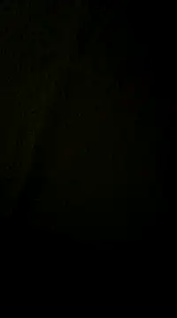 dvaughn3117 online show from 11, 12, 2024