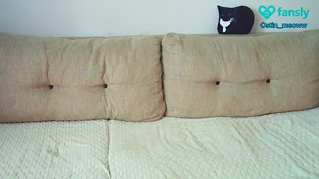 Ostin meow online show from 19, 3, 2025