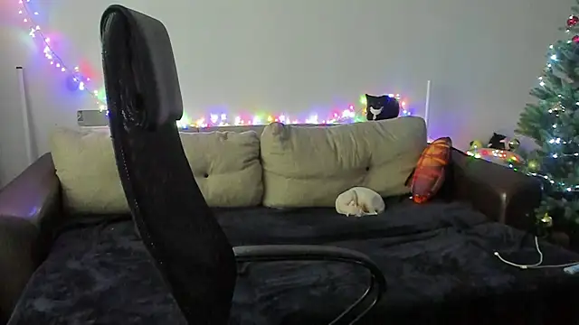 Ostin meow online show from 2, 12, 2025