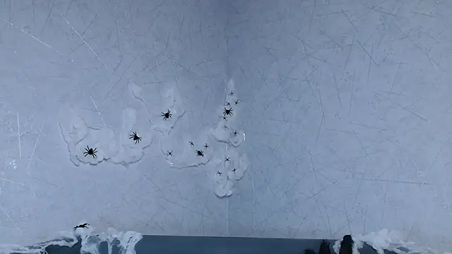 Snapshot of sofiaa_here chatting on 9, 10, 2025 sofiaa here online show from 9, 10, 2025