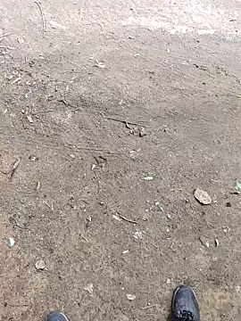 faaseel online show from 8, 10, 2025