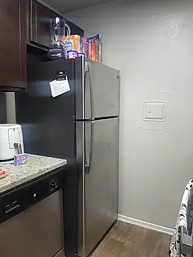 TwilightSiren online show from 11, 1, 2025