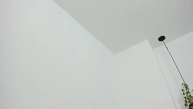 RaidenBoy1 online show from 5, 2, 2025