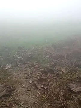 imissyoumylove14 online show from 17, 1, 2026