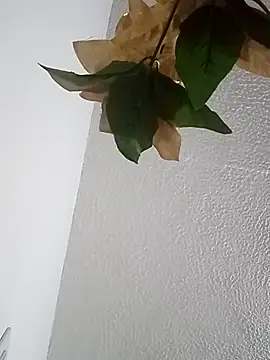 Naomy veracruz  online show from 13, 2, 2026