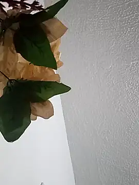 Naomy veracruz  online show from 24, 2, 2026