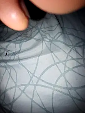 lemon69Reo online show from 6, 11, 2025