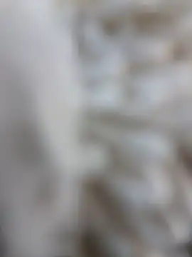 lemon69Reo online show from 15, 2, 2026