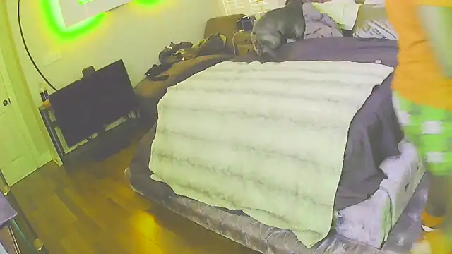 Bignc online show from 8, 11, 2025