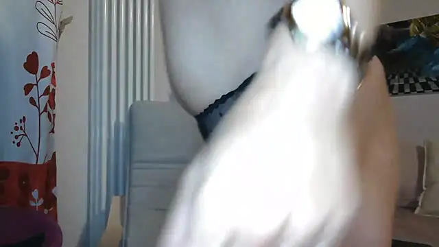 MISXY online show from 12, 9, 2025