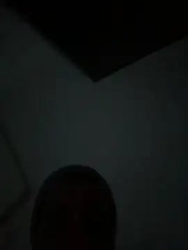 Pollitotex22cm online show from 7, 1, 2026