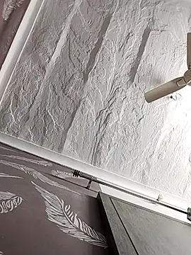 shalini fire online show from 29, 10, 2025