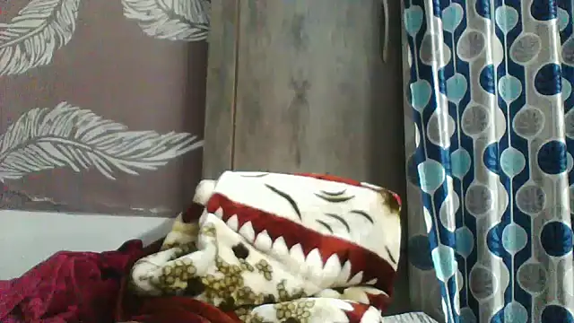 shalini fire online show from 17, 12, 2025