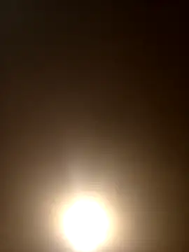 Morguisssz online show from 28, 9, 2025