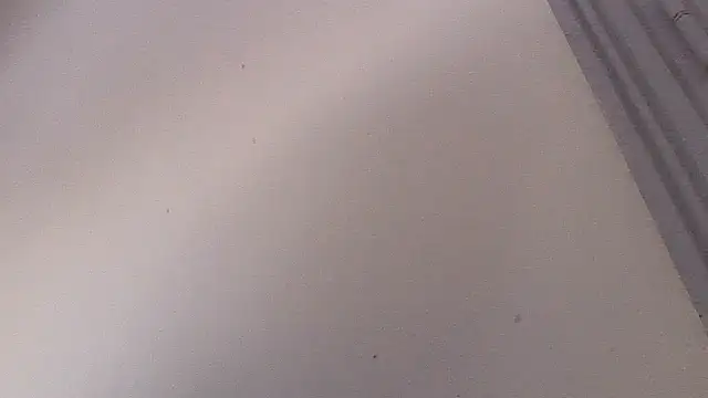 Frozenx online show from 15, 2, 2026