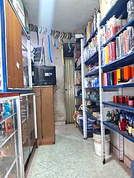 nidia2026 online show from 15, 11, 2025