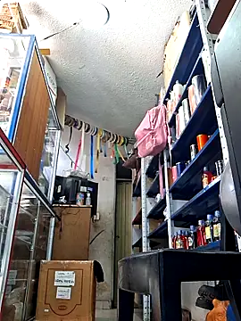 nidia2026 online show from 9, 2, 2026