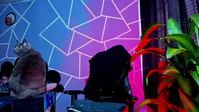 thakytona online show from 18, 1, 2026