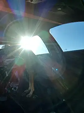 Snapshot of DatingProfile_USA_43_str8 chatting on 6, 10, 2025 DatingProfile USA 43 str8 online show from 6, 10, 2025