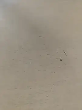 Snapshot of shale26 chatting on 28, 9, 2025 shale26 online show from 28, 9, 2025