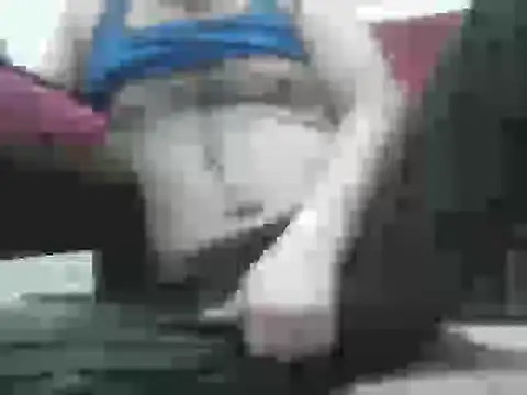 samee00721 online show from 15, 9, 2025