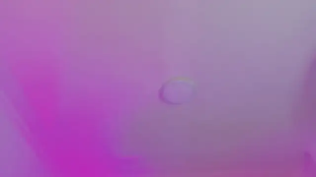 Snapshot of AlliJadid chatting on 19, 11, 2025 AlliJadid online show from 19, 11, 2025