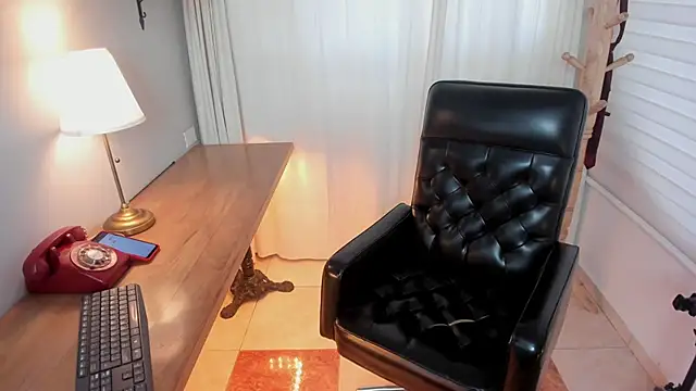 Snapshot of Pamela_Johnsonn chatting on 25, 2, 2026 Pamela Johnsonn online show from 25, 2, 2026