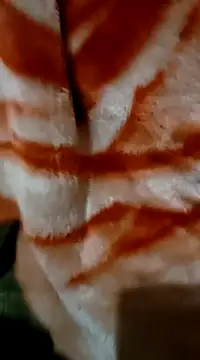 Snapshot of msharshii chatting on 15, 1, 2025 msharshii online show from 15, 1, 2025